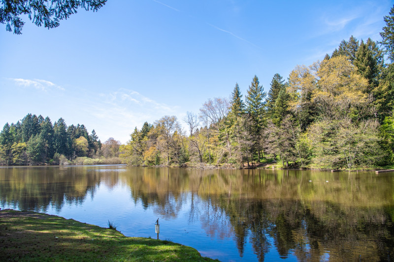 biodiversit-l-arboretum-1093788