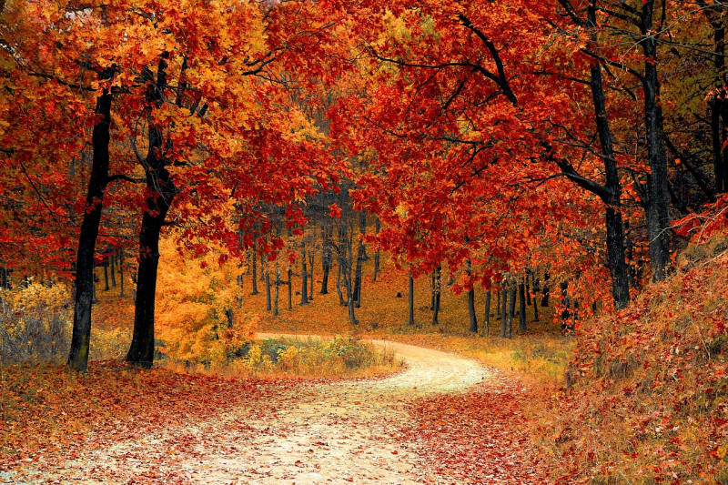 eveil-avec-la-nature-1093261
