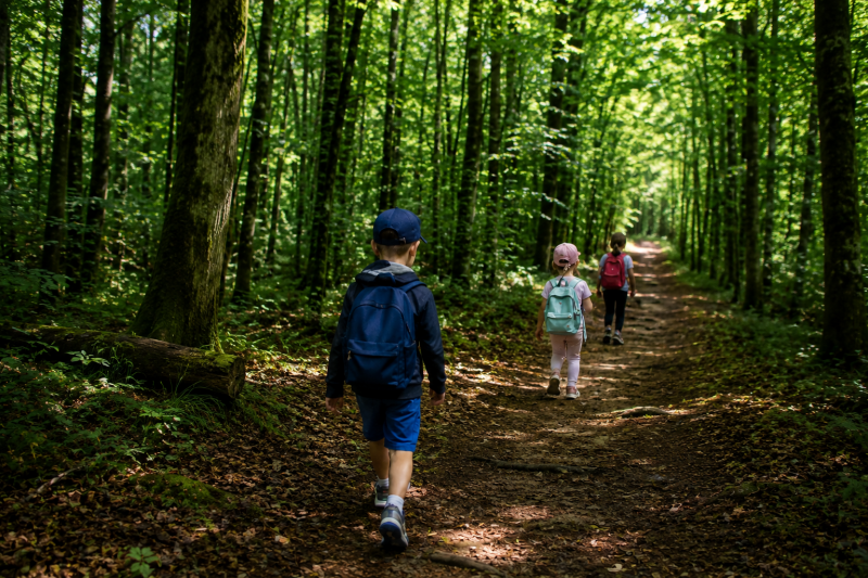 les-petits-explorateurs-1094432 les-petits-explorateurs-1094432